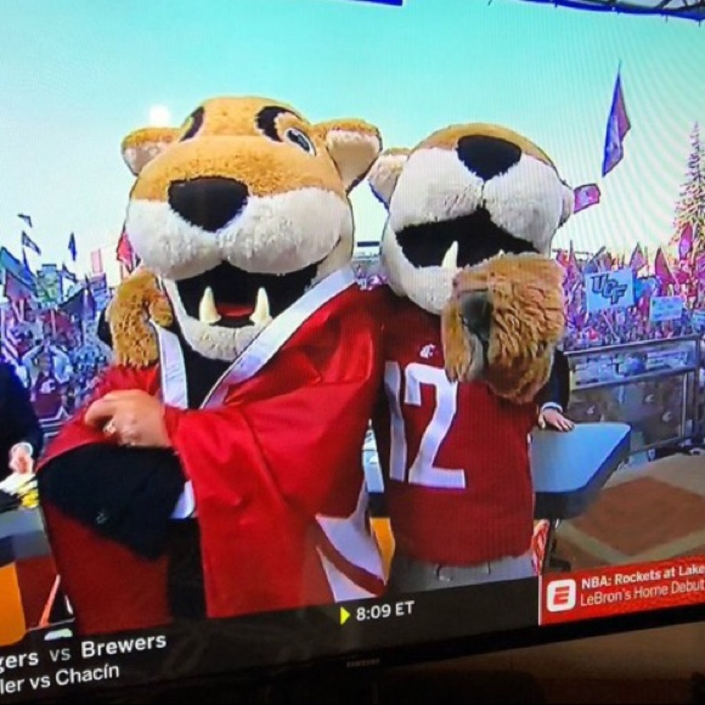 Meet your Posher, Kate